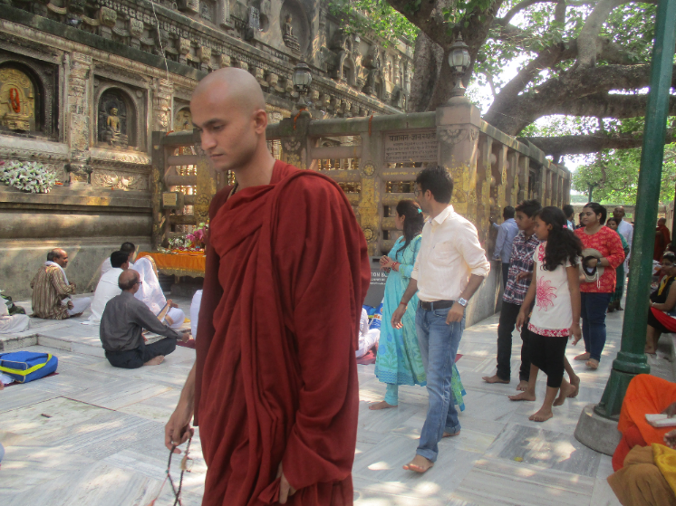 Meditating monk passing bodhi tree at Mahbodhi Temple