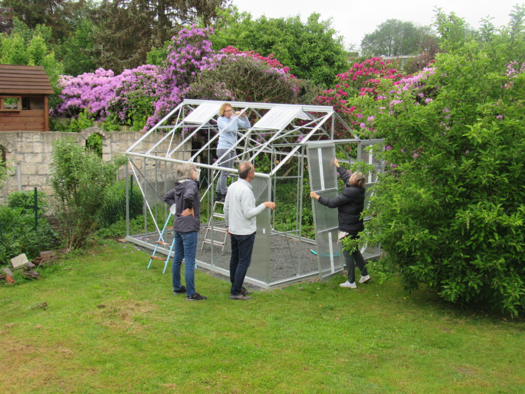 people assembling greenhouse