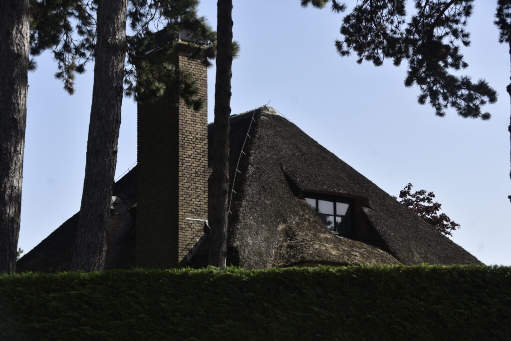 Thatched Roofed House