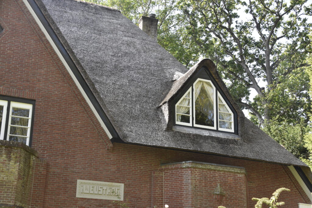 Thatched Roofed House